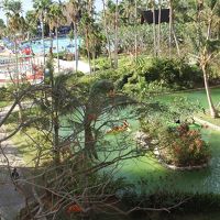 一部しかうつっていませんがとても巨大なプールがあります