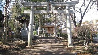 大石神社は長津田の鎮守で、境内から縄文土器や石器が出土しており、一万年以前から長津田に人が住んでいたことを示しています。