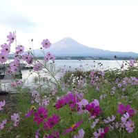 お宿、正面。河口湖畔での１枚目の写真
