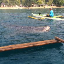 探さなくてもすぐ見れた。