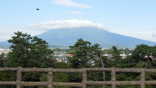 弘前市内から見上げました