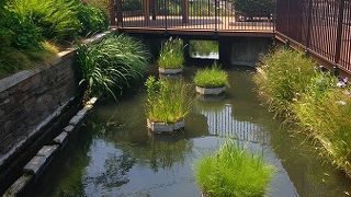 舎人ライナーを利用すればすぐにアクセスできます