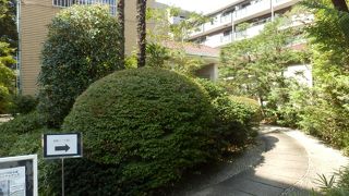 特別公開を狙って訪問