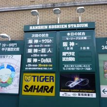 一緒に応援しよう