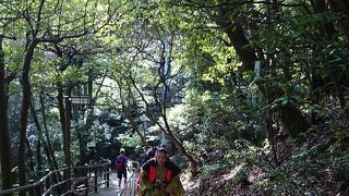 山頂には岐阜城がそびえ立っています。