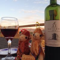 トップルーフからの景色