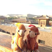 トップルーフからの景色