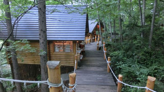 森の中にコテージ風のお店が点在