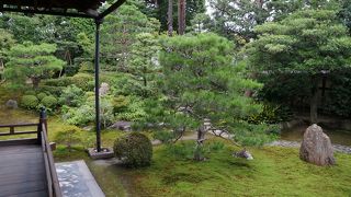 半夏生の庭を拝観してきました