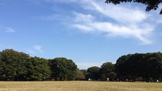 これぞ都会のオアシス