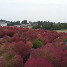 天気が良ければ、琵琶湖が観えたのに…