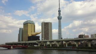 駒形橋よりスカイツリーを一望