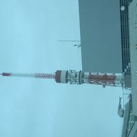２日目朝の窓から見る東京タワー