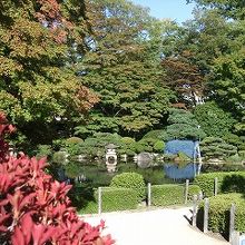 紅葉には1ヶ月早かった！