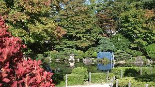 残念、紅葉にはまだ1ヶ月早かった!