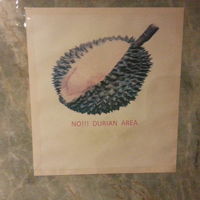 ドリアン禁止