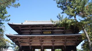 大きさにびっくり！