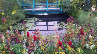 【池袋】 西武池袋本店・屋上のモネの庭園「睡蓮の池」