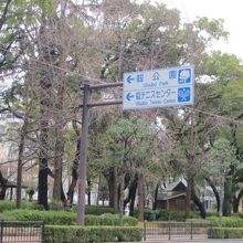 四ツ橋筋からの風景