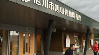 嵐の旭山動物園、最後は最高の虹で締めくくり