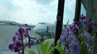 充実した土産物店