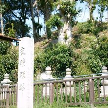 反対側は整備前の様子を残しています