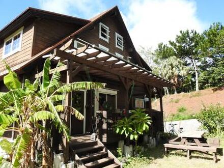 海渡　＜小笠原諸島父島＞ 写真