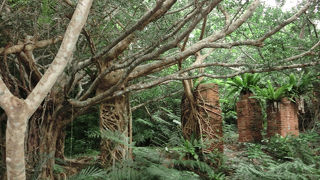 廃墟マニアにはたまらない