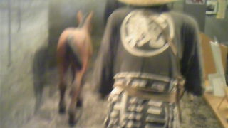 入場無料　馬と開拓の関わりがわかります