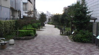 東急電鉄の地下線路の上に作られた、広くて安全な緑道です