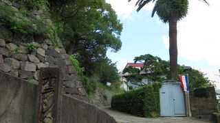 オランダさんが登って行くよ ♪