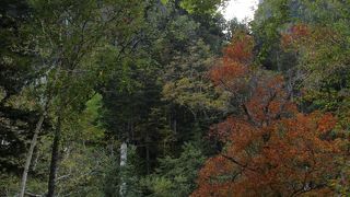 夫婦滝を分かつ岩