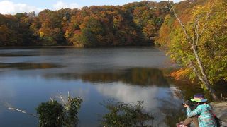 十二湖の紅葉は、１０月の末から　１１月初めころです