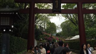 つつじ祭りで有名な