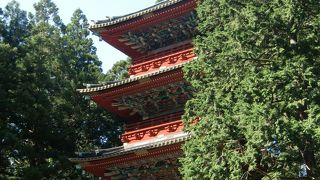 スカイツリーのモデル