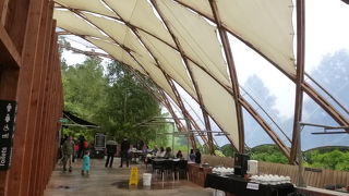 青い光が神秘的でした