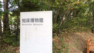 オオジロワシが観察できる博物館