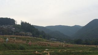 埼玉県内最大の棚田