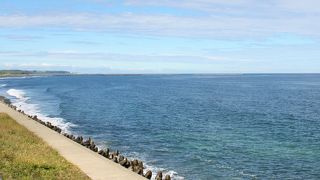 サンゴ草の群落地があります