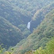 蔵王山の滝の中で最も規模の大きな滝で、高さが54mあります