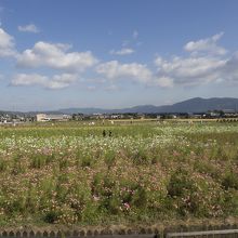 最後に展望台から眺める全景です。