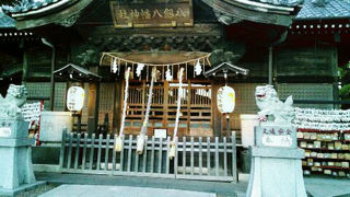 まったり。o(^o^)o