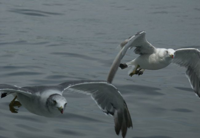 浦戸諸島に行くときに。