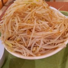 もやしたっぷり