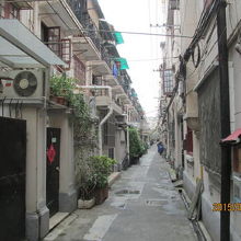 整然と並んでいます。