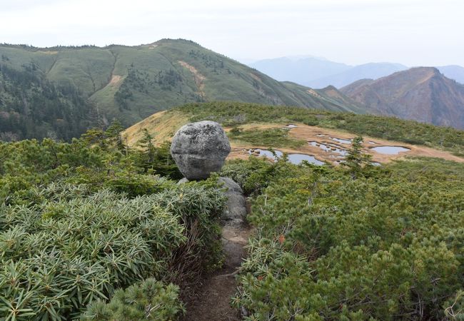 特徴的な容姿の平ヶ岳のシンボル　玉子石が見れます