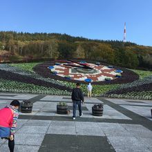 遠くて見ずらい笑