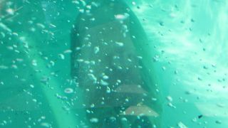 子供連れで一日遊べます！