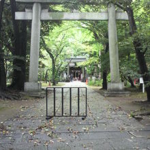 氷川神社の正面の鳥居です。奥の参道の向うに山門が見えます。
