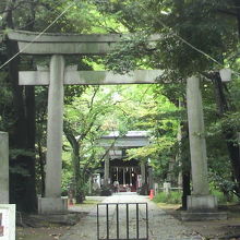 鳥居に近づくと、緑の樹々に囲まれた山門が近くに見えます。